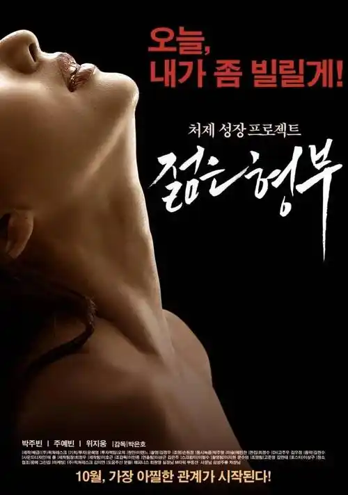 深巷有光 热播电视剧全集手机免费在线观看